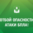 Мэр Богодистов: Угроза атаки БПЛА в Геленджике официально снята - SochiStream.Ru