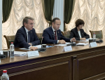 Заседание двух профильных комитетов прошло в Горсобрании