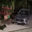 В Сочи медведя сняли на видео и попросили не мочиться на колеса авто - SochiStream.Ru