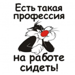Мэрия Сочи прокомментировала ситуацию с санитарным состоянием города