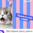 Всё самое интересное и полезное — теперь в MAX - СГУ
