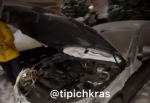 В Краснодаре крысы залезли под капот авто и перегрызли провода