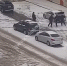В Кропоткине молодого человека затолкали в багажник авто - SochiStream.Ru