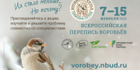 7 февраля стартует ВСЕРОССИЙСКАЯ ПЕРЕПИСЬ ВОРОБЬЕВ - PrivetSochi.Ru