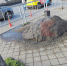 «Могучая кучка» на тротуаре взбудоражила Краснодар - SochiStream.Ru