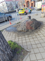 «Могучая кучка» на тротуаре взбудоражила Краснодар