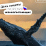 19 февраля – день защиты морских млекопитающих - СГУ