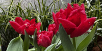 С праздником, защитники Отечества! - Заповедник им. Х.Г. Шапошникова
