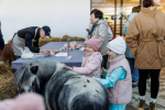 Продукцию сочинских производителей представят в рамках проекта «Кухня знаний»