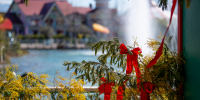 Сочи Парк дарит праздничную скидку на билеты для девушек - Sochi.Com