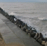 Фото: freepik.com - Sochi.Com