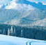 Фото: freepik.com - Sochi.Com