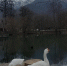 Приказ № 221 - PrivetSochi.Ru