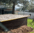 IMG_20260314_154628_0662 - Sochi24.tv
