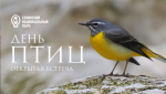 Международный день птиц отметят в Сочи