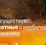 Комментарий эксперта СочиГУ в рубрике Минобрнауки РФ - СГУ