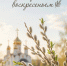 Вербное воскресенье — особый день, когда природа просыпается, а душа готовится к Пасхе - СГУ