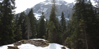 Весенний снегопад в горах Сочи: за сутки выпало до 33 см снега - Sochi24.tv
