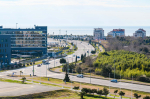 Благоустройство продолжается: в Сириусе вывезли 300 кубометров отходов