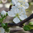 i - 2026-04-13T085444.609 - SochiNews.io