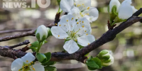 i - 2026-04-13T085444.609 - SochiNews.io