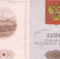 Афера стала уголовным делом: краснодарец сменил фамилию ради займов на полмиллиона и развлечения - Sochi24.tv
