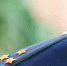 i - 2026-04-18T140429.874 - SochiNews.io