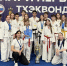Сочинцы завоевали 10 медалей на Чемпионате и Первенстве России по тхэквондо ГТФ - Администрация г. Сочи