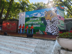В Сочи фестиваль леопарда собрал сотни жителей и гостей курорта  