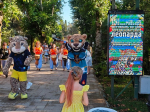 В Сочи фестиваль леопарда собрал сотни жителей и гостей курорта  