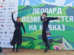 Леопарды в городе. Сочинский национальный парк собрал гостей на День переднеазиатского леопарда в парке «Ривьера»
