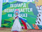 Леопарды в городе. Сочинский национальный парк собрал гостей на День переднеазиатского леопарда в парке «Ривьера»