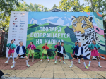 Леопарды в городе. Сочинский национальный парк собрал гостей на День переднеазиатского леопарда в парке «Ривьера»