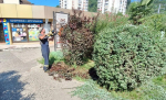 В Лазаревском районе Сочи продолжаются работы по благоустройству и уборке территорий