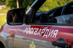В Сочи росгвардейцы задержали подозреваемого в распространении мефедрона
