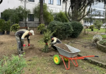 В Лазаревском районе Сочи благоустраивают сквер перед кинотеатром «Восход»